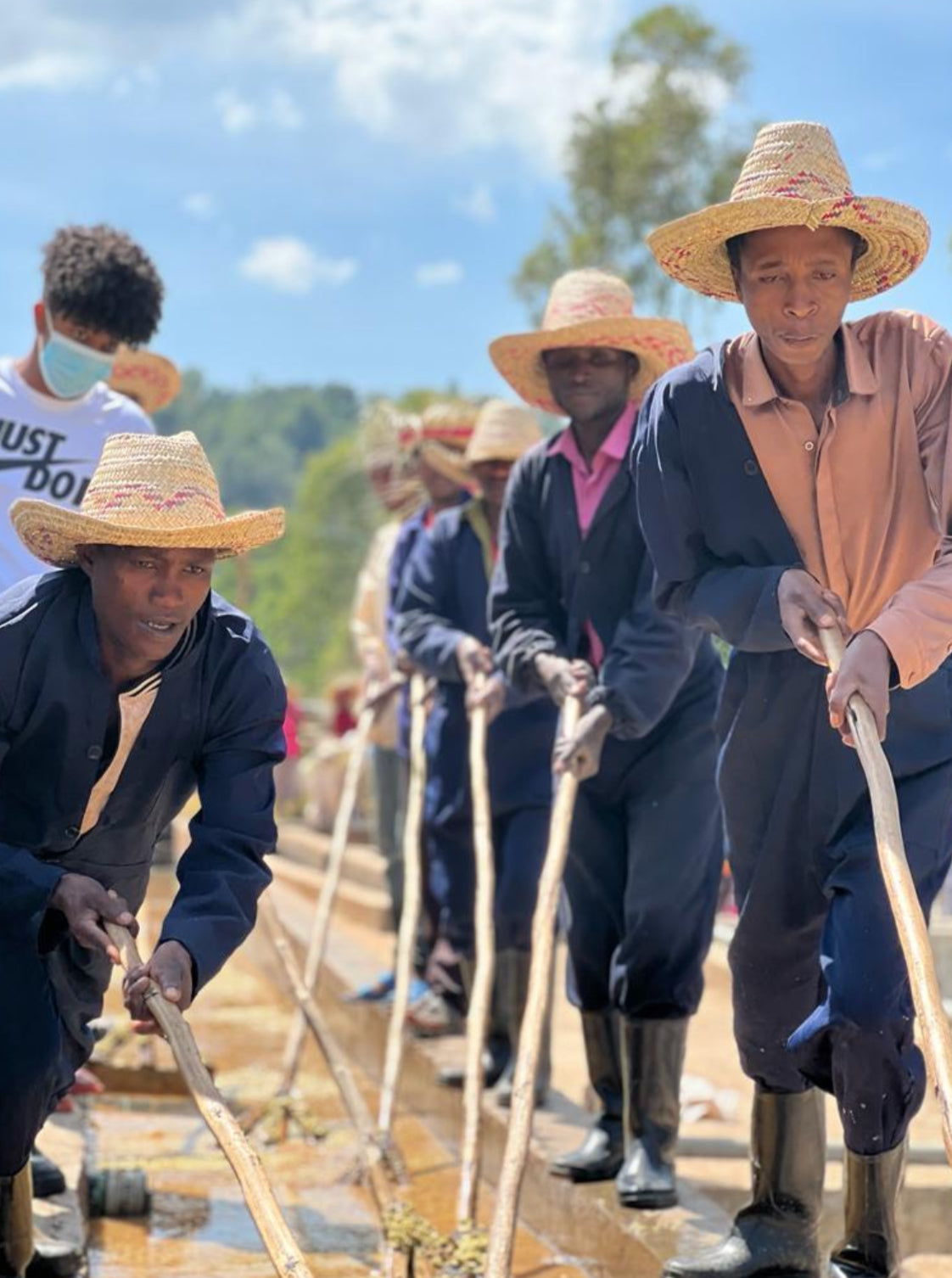 Ethiopia Yirgacheffe Aricha