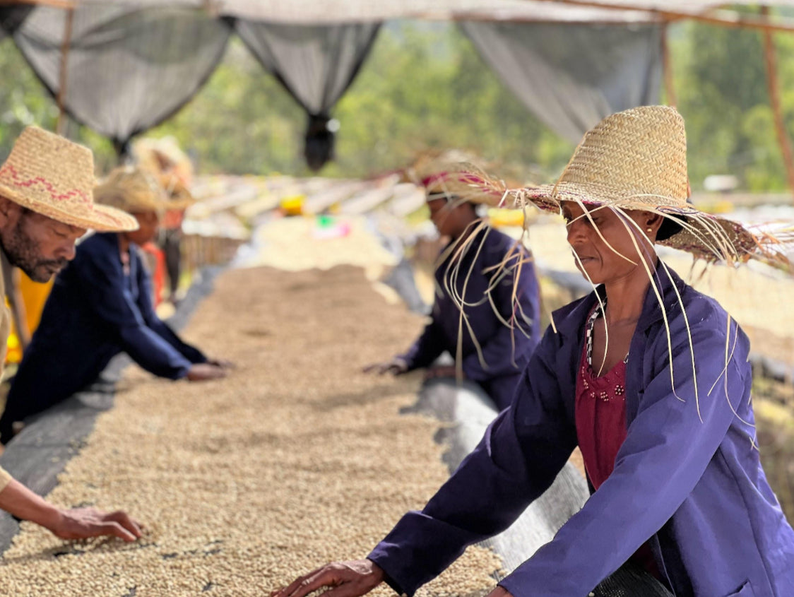Ethiopia Yirgacheffe Aricha