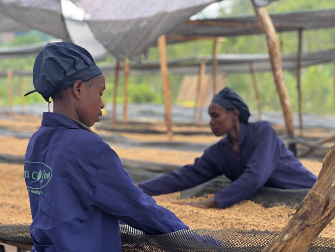 Ethiopia Yirgacheffe Aricha